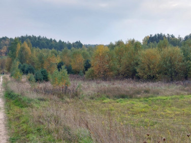 Działka budowlana sprzedam