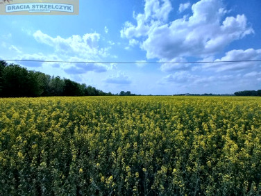 Działka usługowa Jeżewo