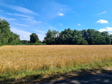 Działka rolna Krasne