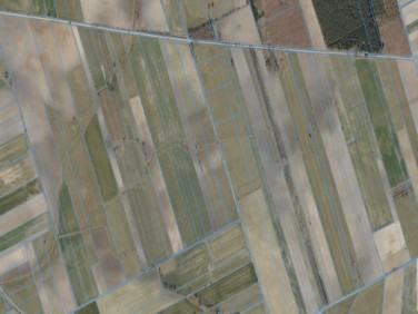 Działka rolna Suraż