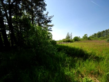 Działka rolna Rewal