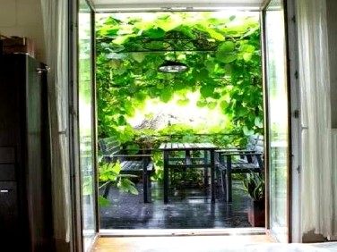 Dom wolnostojący sprzedaż