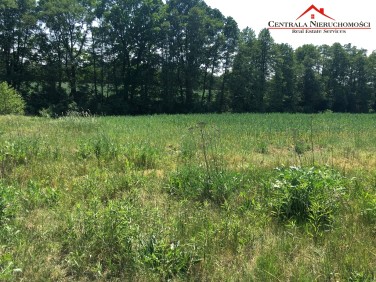 Działka inwestycyjna Toruń