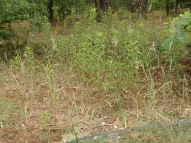 Działka budowlana Otwock