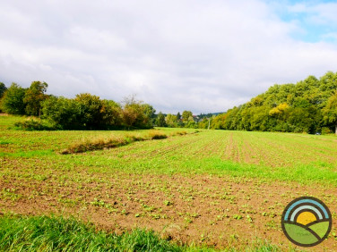 Działka rolna Radwanowice sprzedam