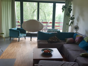 Dom wolnostojący sprzedaż