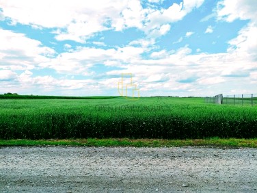 Działka budowlana Środa Śląska