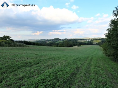 Działka usługowa Mogilany