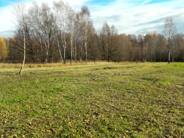 Pusta działka Poręba