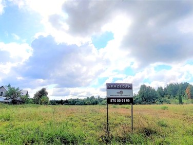 Działka usługowa Białowieża