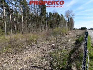 Pusta działka Kielce