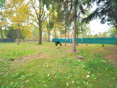 Działka budowlana Sulejówek