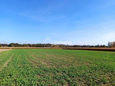 Działka rolna Poręba