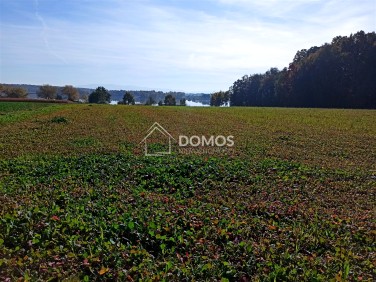 Pusta działka Poręba