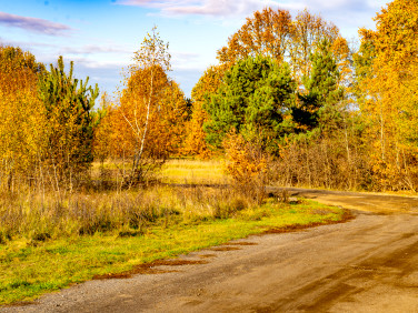 Działka usługowa Tanowo