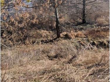 Działka budowlana Otwock