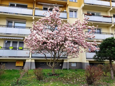 Mieszkanie Swarzędz