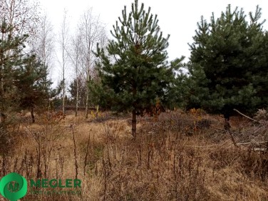 Działka budowlana Żelechów