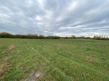 Pusta działka Silna