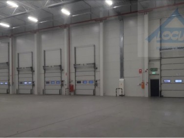 Budynek użytkowy Warszawa wynajem