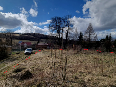 Działka budowlana Glinno sprzedam