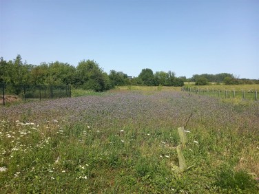 Pusta działka Lublin