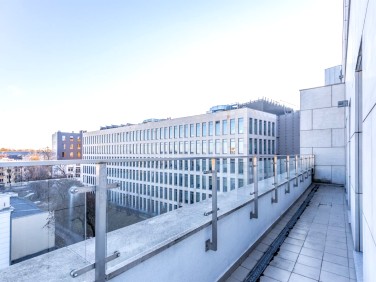 Lokal Lublin wynajem