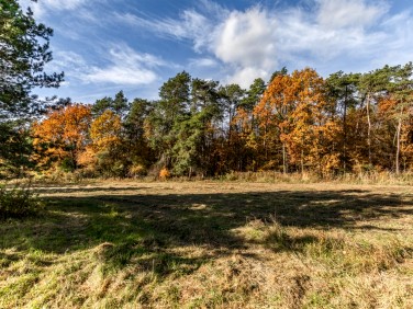 Pusta działka Lublin