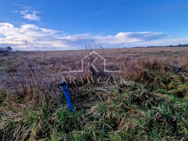 Pusta działka Wołczkowo