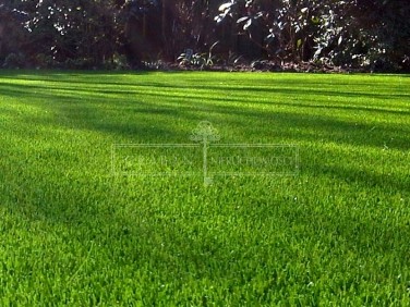 Działka budowlana Niemcz