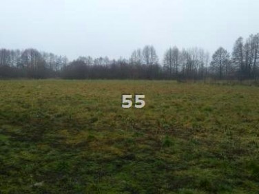 Pusta działka Tuszyn