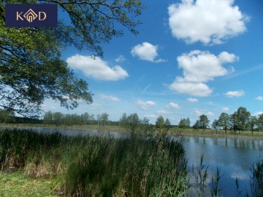 Działka usługowa Stęszew