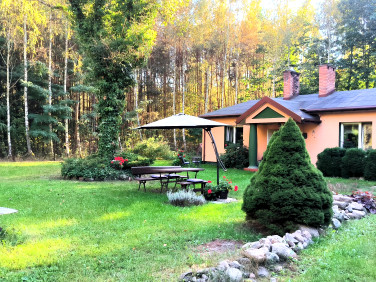 Dom Budy-Grzybek sprzedaż