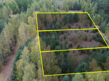 Działka Wola Prażmowska