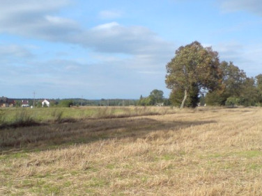 Działka budowlano-rolna sprzedam