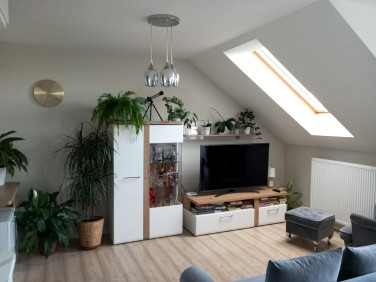 Mieszkanie Kamieniec Wrocławski