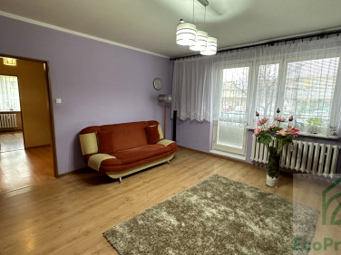 Mieszkanie przy lesie