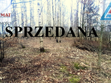 Działka przy lesie