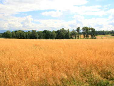Pusta działka Czechowice-Dziedzice