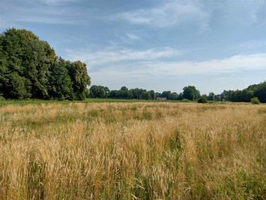 Pusta działka Hecznarowice