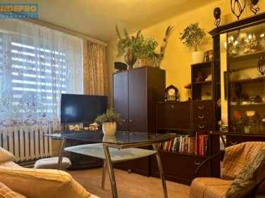 Mieszkanie Strzykuły