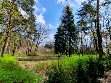 Działka budowlana Otwock