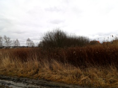 Pusta działka Krasne