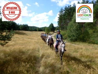 Działka budowlana Magdalenka