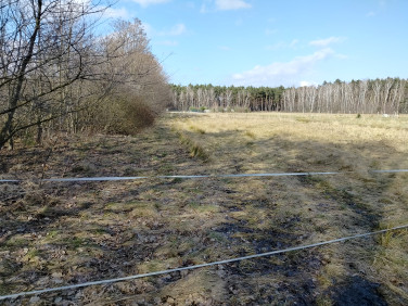 Działka budowlana Skotniki