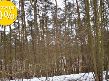 Działka leśna Czarnków