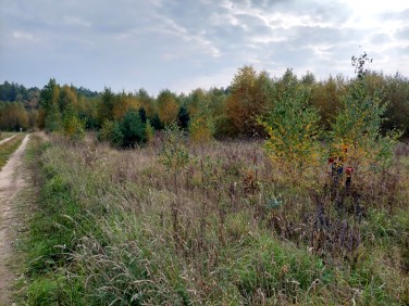Działka budowlana Błotnia sprzedam