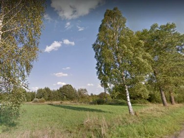 Działka budowlana Białowieża