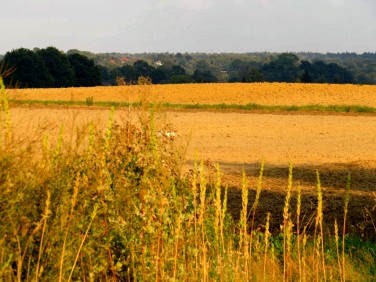 Działka budowlana Góra