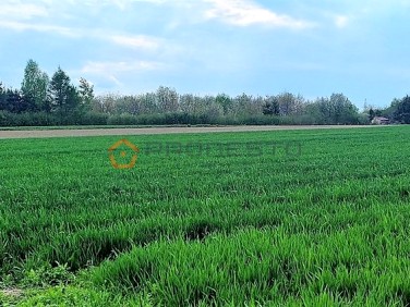 Działka budowlana Przeworsk